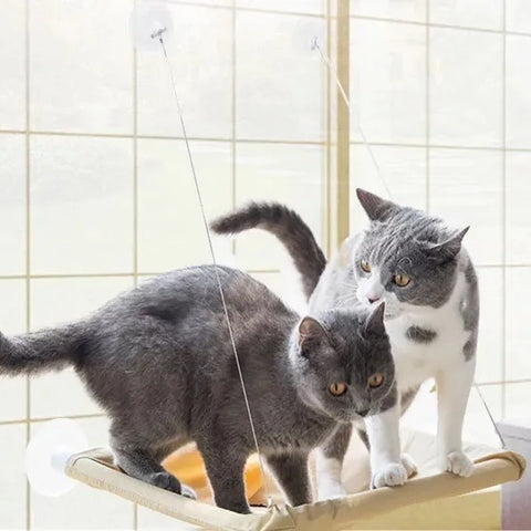 Caminha de Janela para Gatos com Ventosas